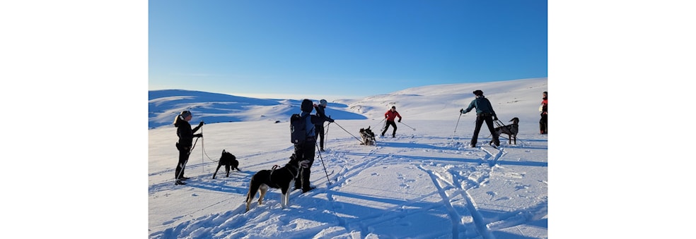 Fellestrening